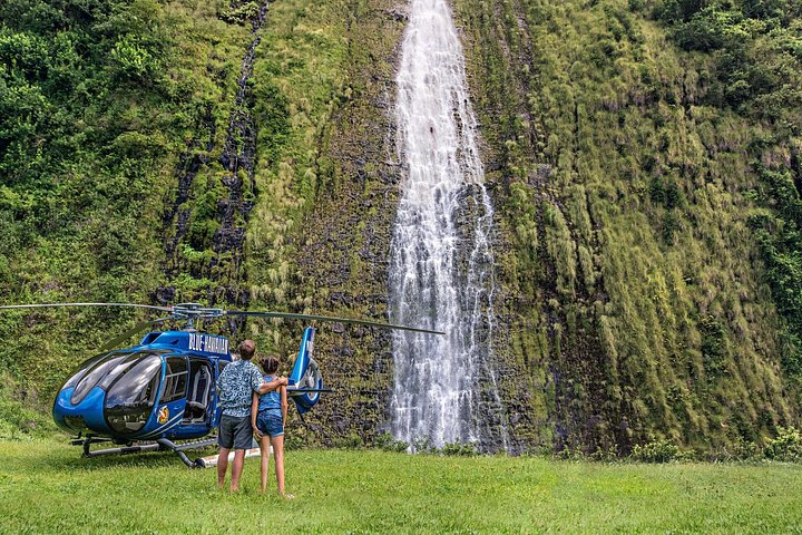 Kohala Waterfalls with Exclusive Landing Helicopter Tour - photo