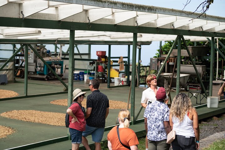 Kona Coffee Farm Tour - photo