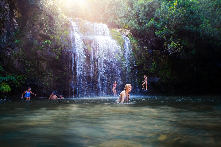 Big Island Kohala Zip and Dip Tour from Kona - photo
