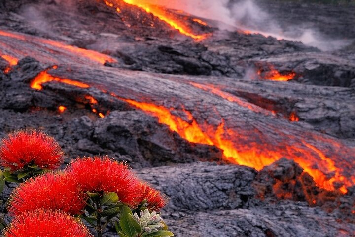 Big Island Scenic Tour: Volcano Hilo Town Waterfall Beach & Lunch - photo