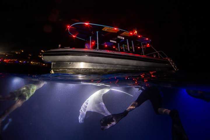 Night Manta Ray Experience - photo