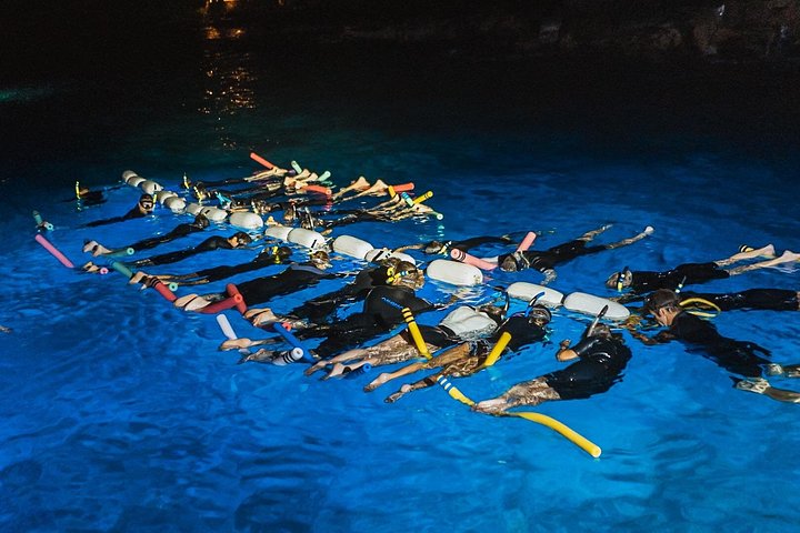 Kona Manta Ray Night Snorkel, 85-95% Sighting Rate - photo