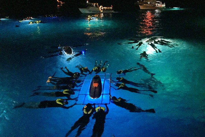 Night snorkel with divers in water