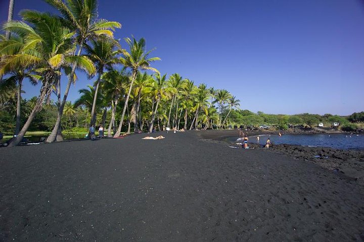 Black sand beach lined with palms